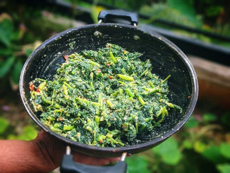 Posto Sorshe Lau Shak Bhape (Bottle Gourd Leaves Steamed with Poppy Seeds) Vegan Bengali Recipe