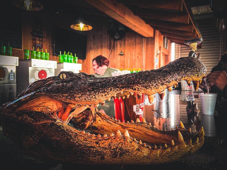 Bayou swamp tour- NOLA things to do